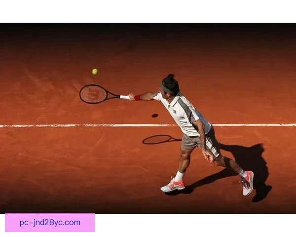 罗切文德女篮险胜蒙彼利埃女篮1分取得胜利 双方激战全场精彩纷呈