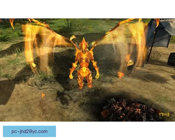 纽卡斯尔喷气机青年队与北方虎战成平局 双方激战至2比2 纽卡斯尔喷气机青年队与北方虎战成平局 双方激战至2比2